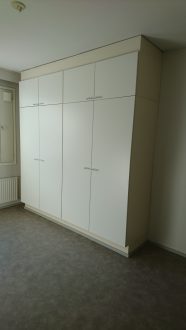 Palmutie 5 B 11,14,17