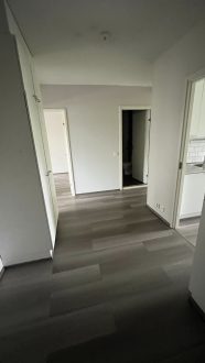 Jousitie 7 D 29